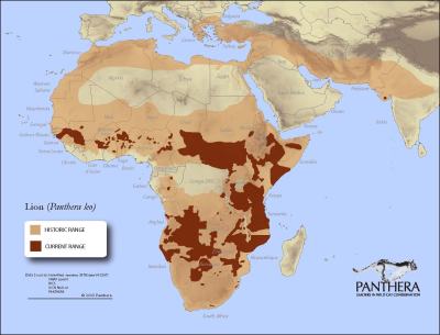 Figure 2- Map of Current & Historic Lion Ranges.  Source: Panthera